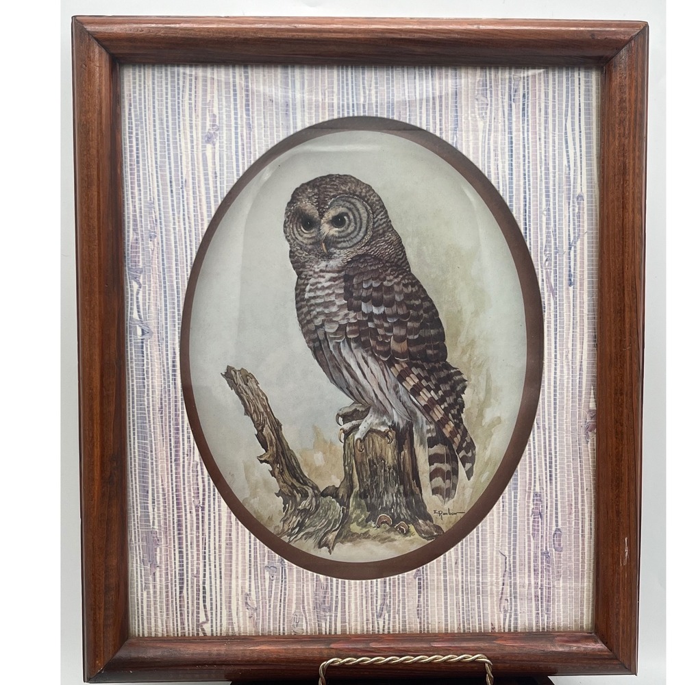 Vintage Wood Owl Print By E. (Erwin) Rambow Framed Matted